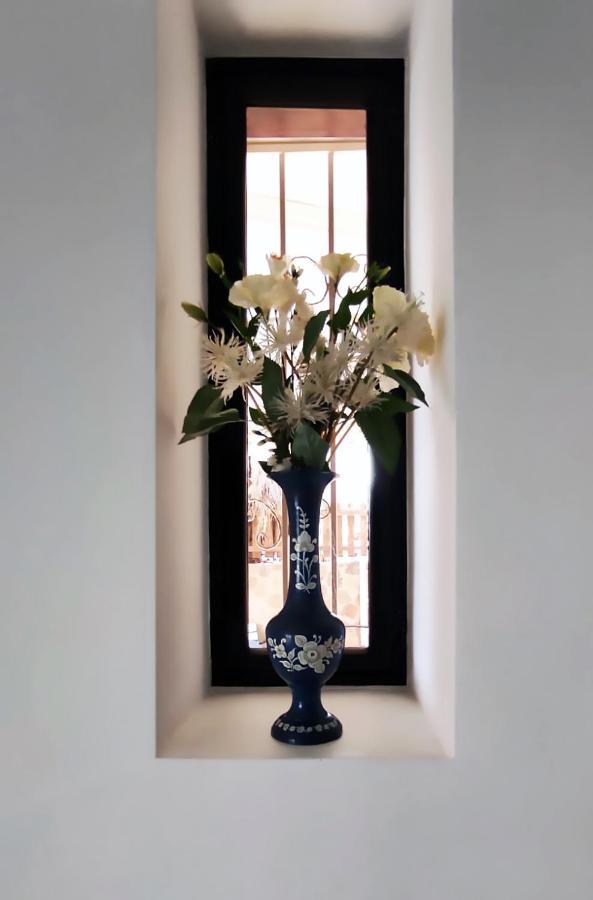 Guest House "Villa Klara Eilat" Heated Pool And Sauna All Year Round المظهر الخارجي الصورة